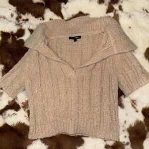 Express V-Neck Sweater in Tan